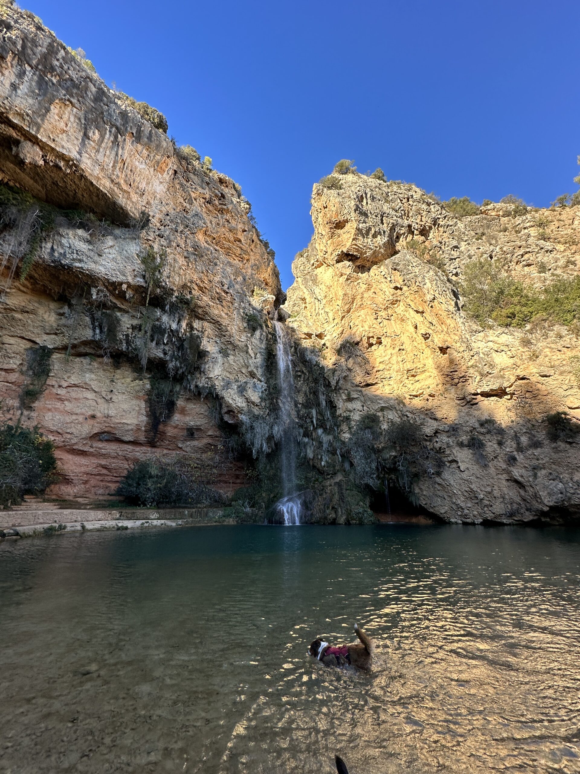 Day 4 – Dog Trainer and her dogs in Valencia