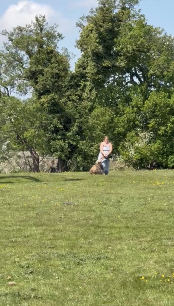 Christine and her dog practising tracking during a Working Trials training session in a sunny open field.