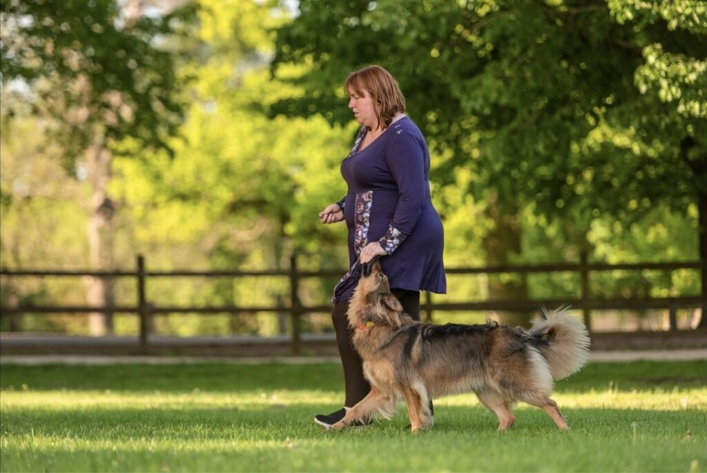 Christine training obedience heelwork with her English Shepherd Izzy during a focused session in the park