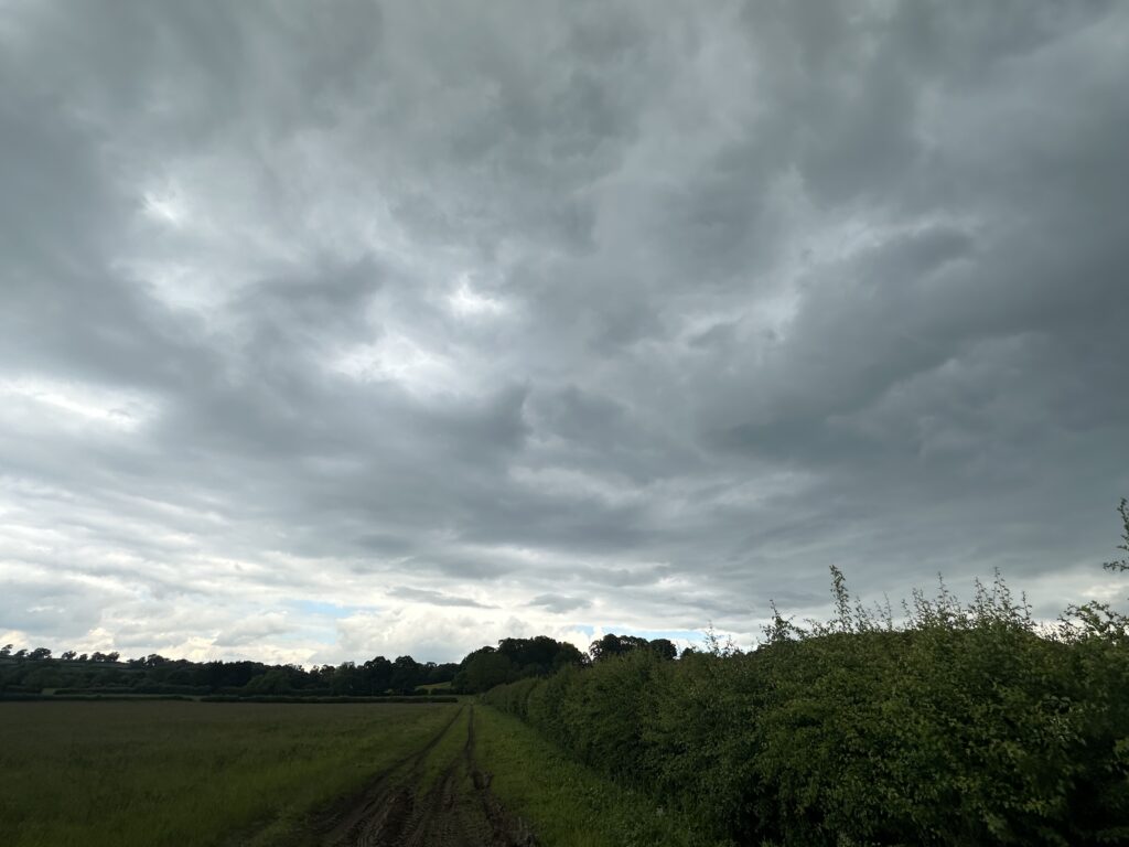 Dark stormy sky over a grassy field, symbolising unpredictable weather during dog training